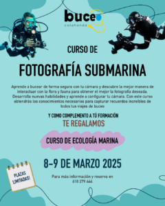 Curso de Fotografía Submarina