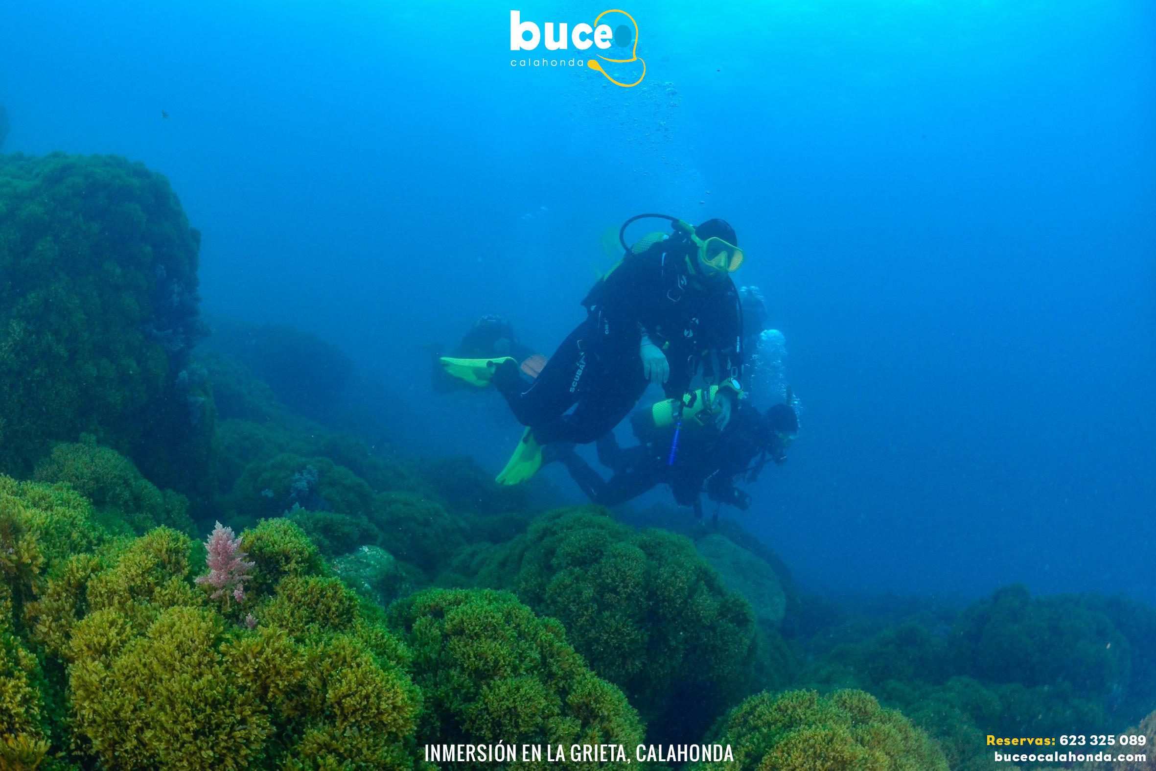 inmersion buceo la grieta buceo calahonda granada10