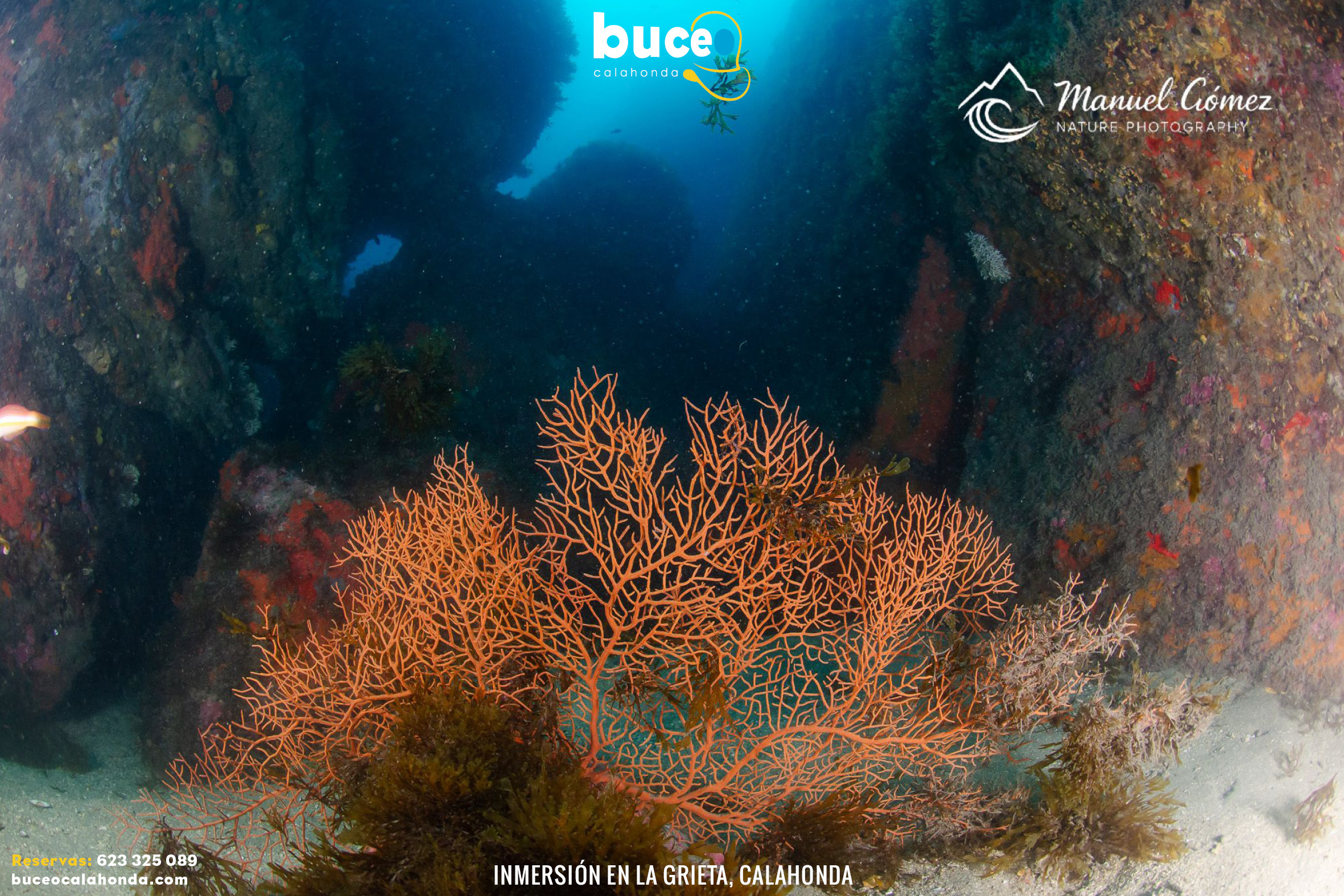 inmersion buceo la grieta buceo calahonda granada4